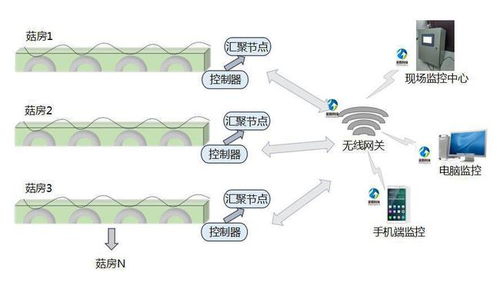 四川智能食用菌菇房管理系統(tǒng) 科技賦能精準脫貧新路徑